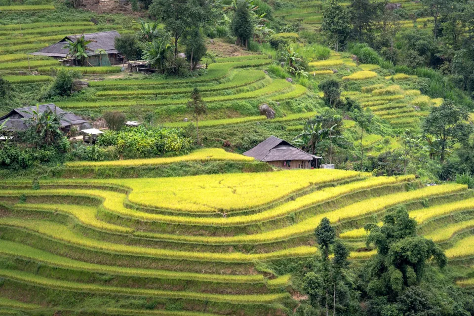Kho gạo của Hồ Đỗ Phước Tuy